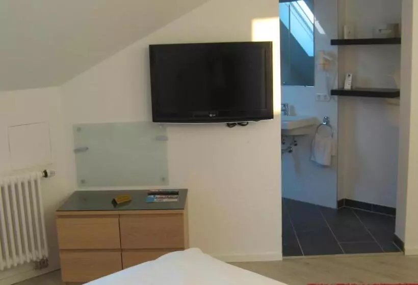 Fotos del hotel Barbarossa:  15