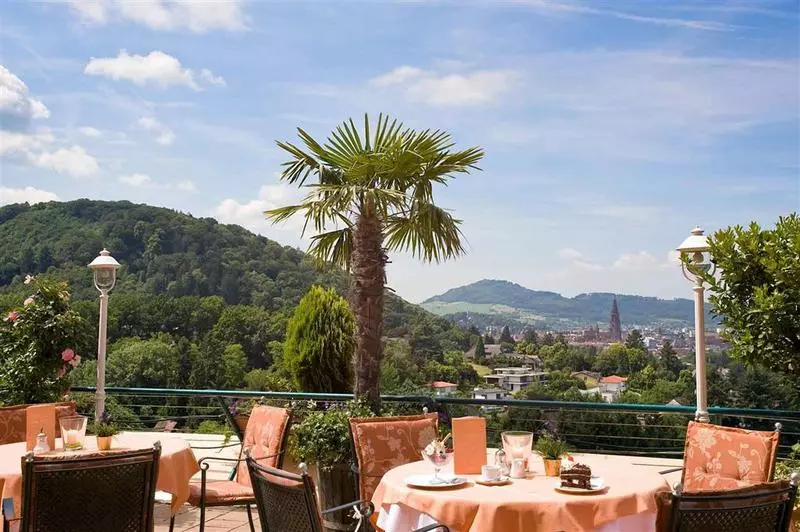 Fotos del hotel Mercure Hotel Panorama Freiburg:  12