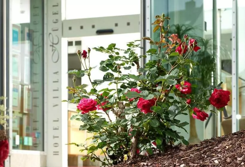 Fotos del hotel Villa Hügel:  6