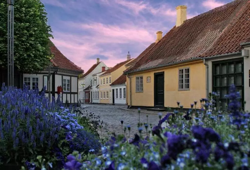 Fotos del hotel City Hotel Nattergalen:  6