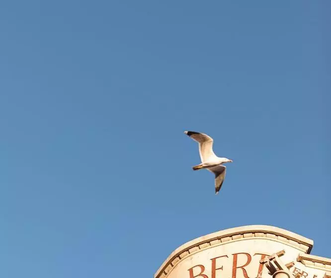 Fotos del hotel Albert 1er:  14