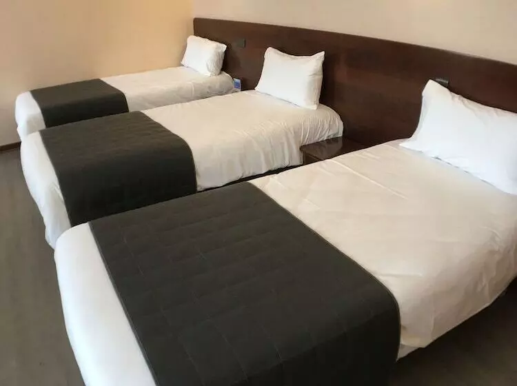 Fotos del hotel Hôtel Vesuvio:  19