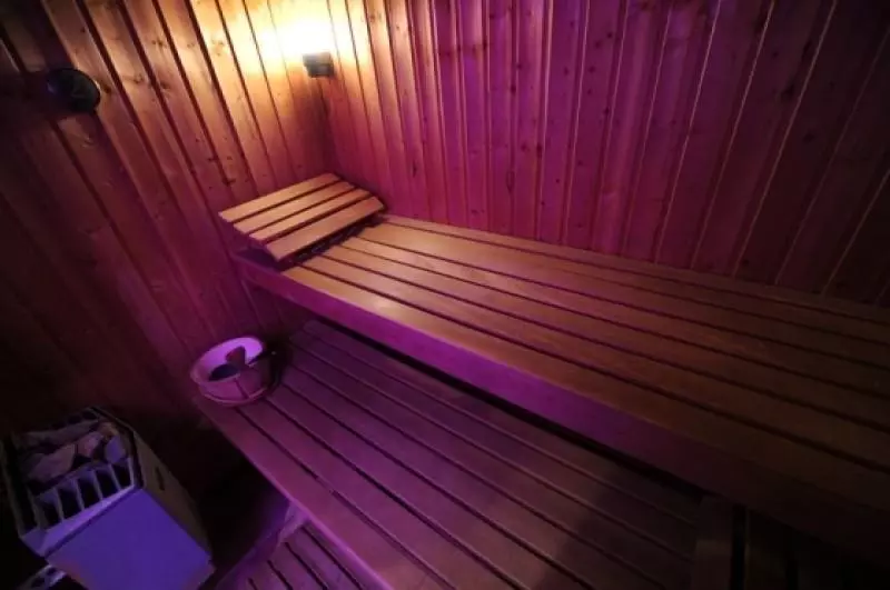 Fotos del hotel Hôtel Du Vieux Saule:  5