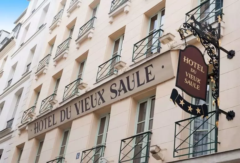 Hôtel Du Vieux Saule
