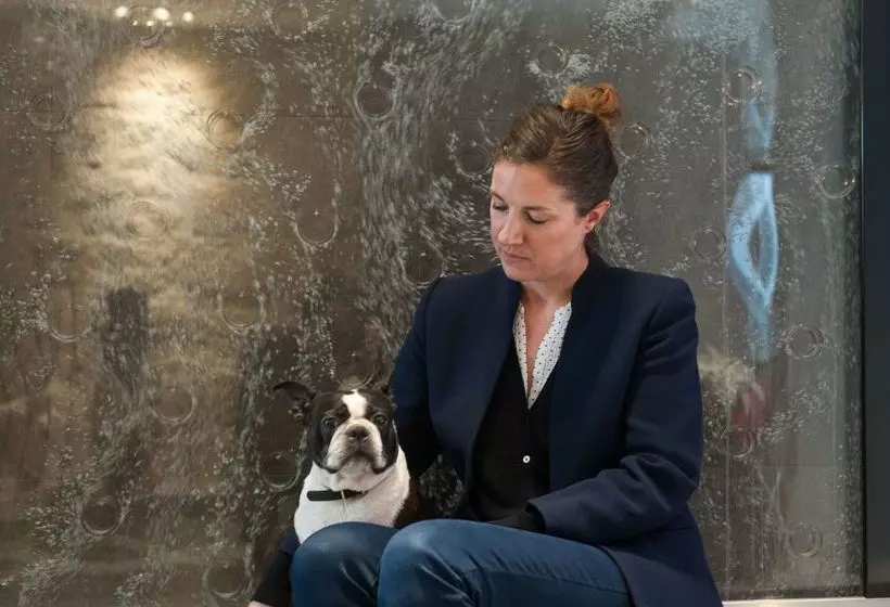 Fotos del hotel Hôtel Du Vieux Saule:  10