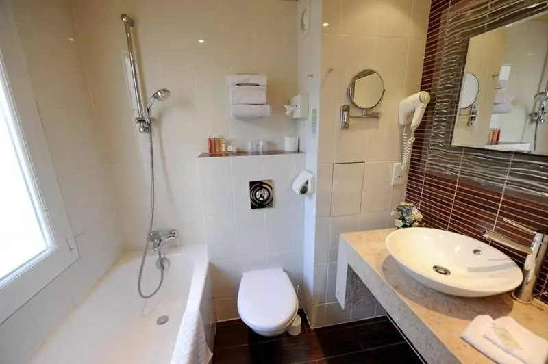 Fotos del hotel Hôtel Du Vieux Saule:  9