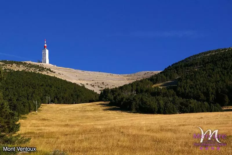 Fotos del hotel Mercure Pont D Avignon Centre:  15