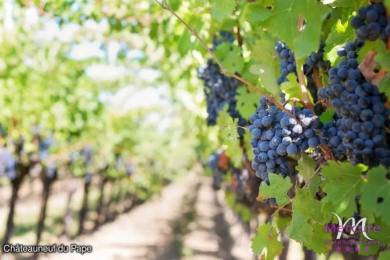 Fotos del hotel Mercure Pont D Avignon Centre:  10