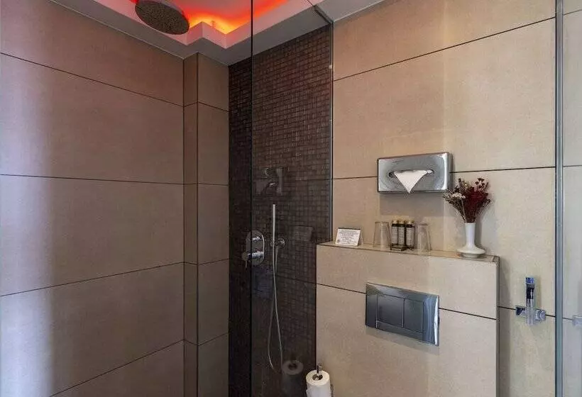 Fotos del hotel Minerve:  5