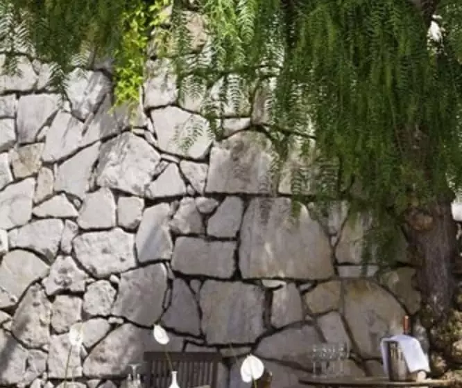 Fotos del hotel Cannes Montfleury:  20