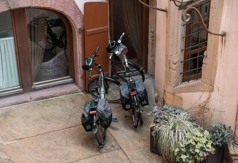 Fotos del hotel Saintmartin:  15