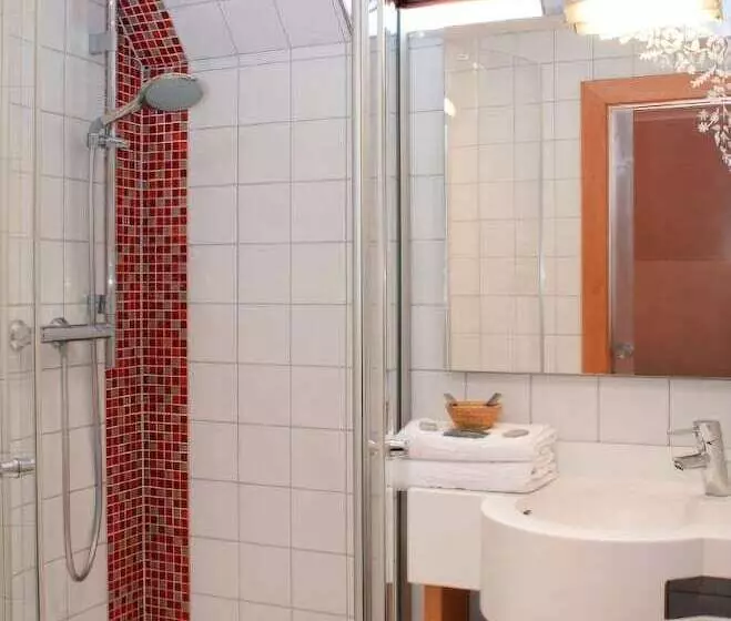 Fotos del hotel Saintmartin:  14