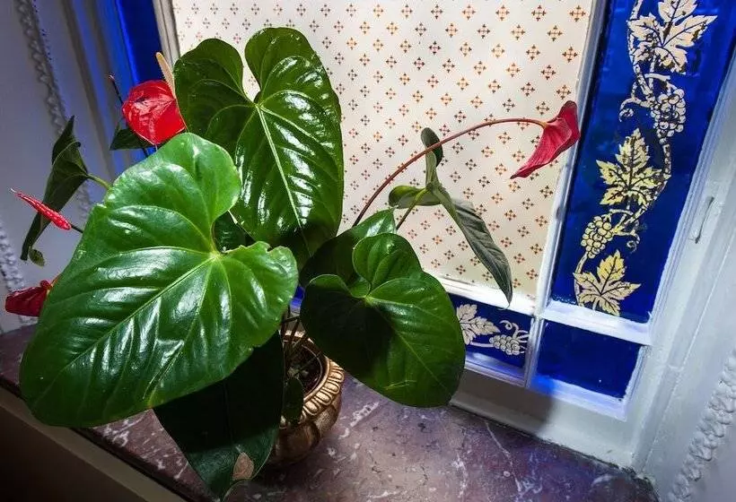 Fotos del hotel Kildonan Lodge:  13