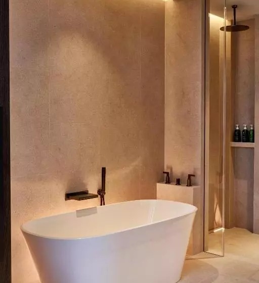 Fotos del hotel Holiday Inn London Mayfair:  6