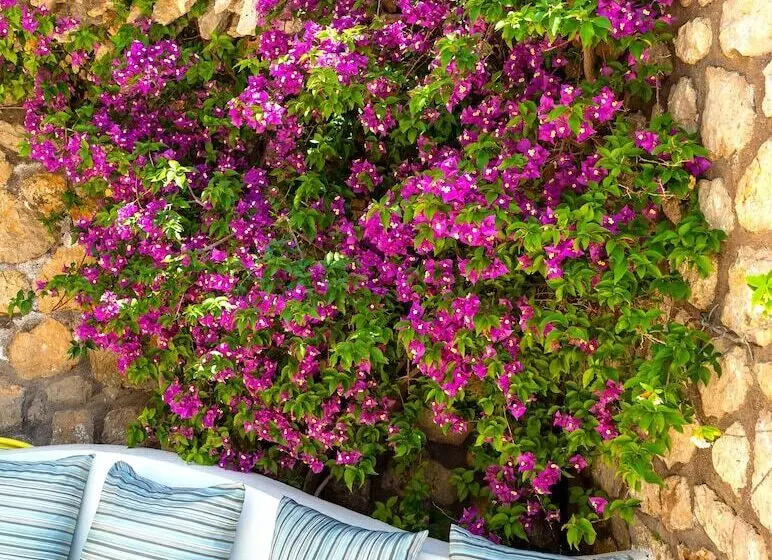 Fotos del hotel La Floridiana:  12