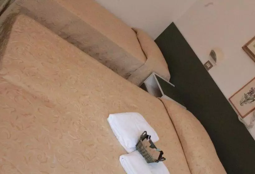 Fotos del hotel Plaza:  12