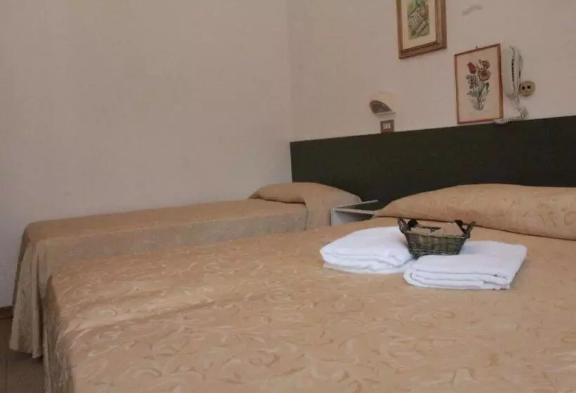 Fotos del hotel Plaza:  14