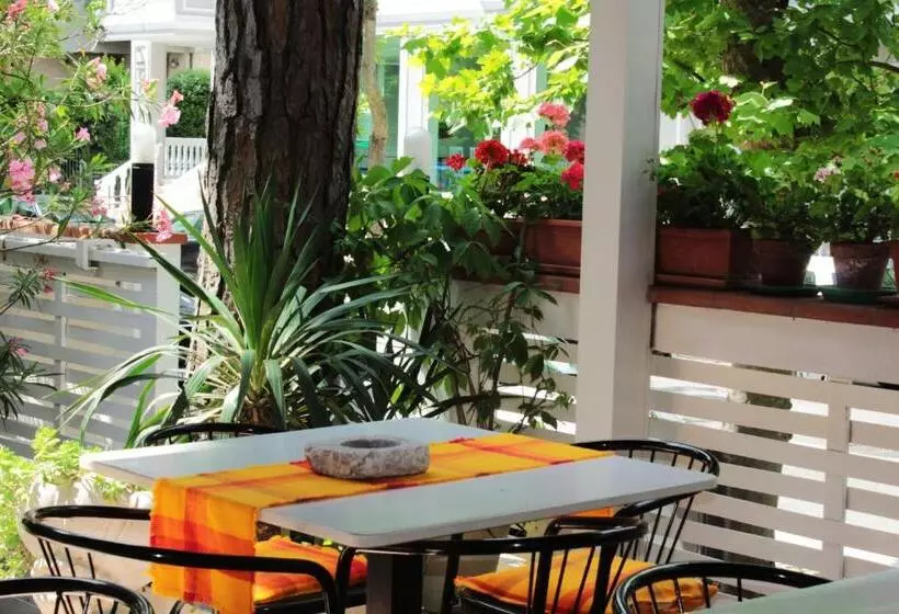 Fotos del hotel Plaza:  4