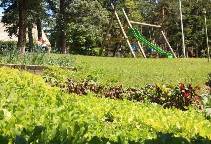 Fotos del hotel Trieste:  5