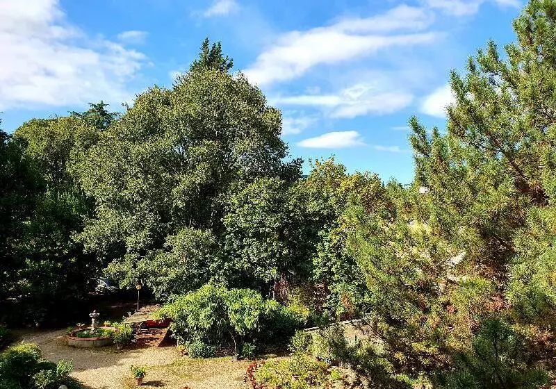 Fotos del hotel Annalena:  16