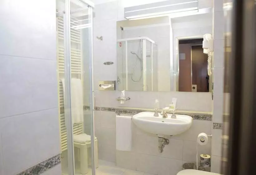 Fotos del hotel Bristol:  7