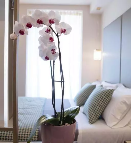 Fotos del hotel Vittorio:  24