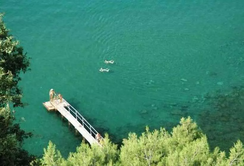 Fotos del hotel Riviera & Maximilian's:  11