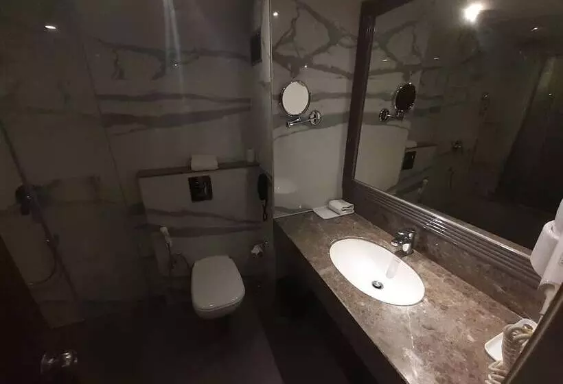 Fotos del hotel The Piccadily Chandigarh:  13