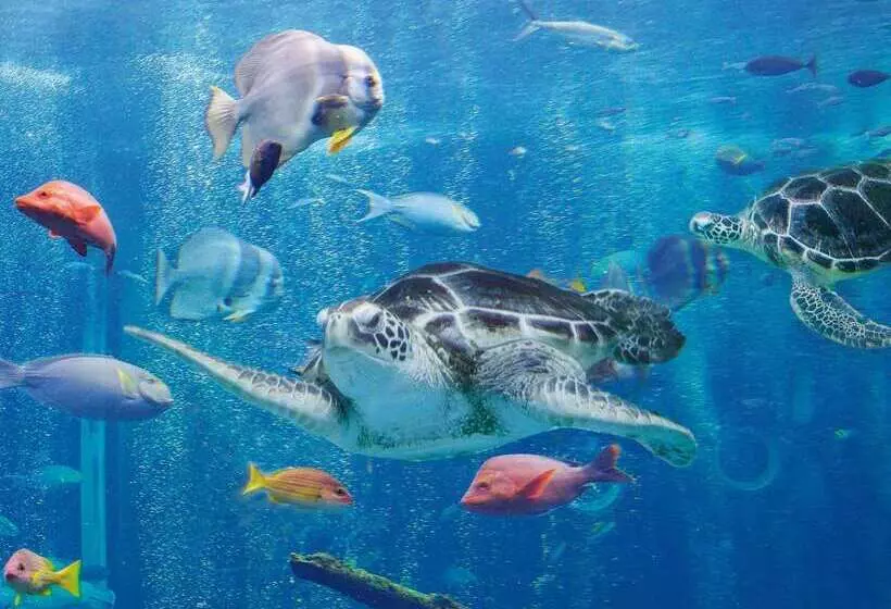 Fotos del hotel Hakone Prince:  2