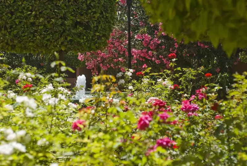 Fotos del hotel Marrakech Le Semiramis:  20