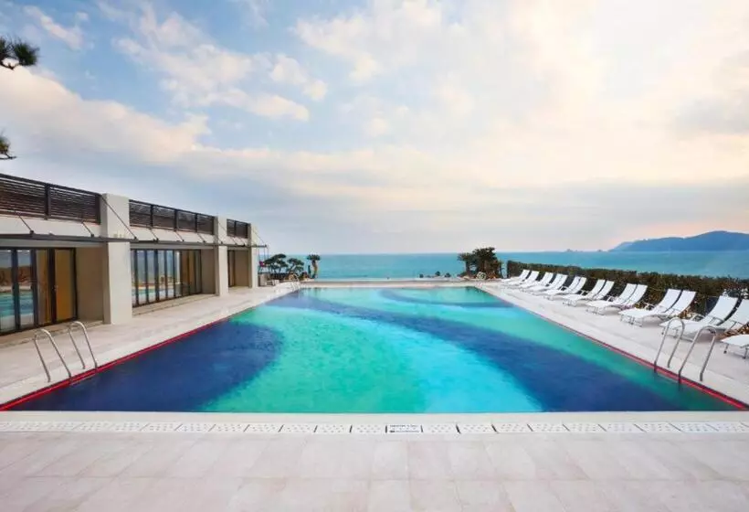 Fotos del hotel Paradise  Busan:  2