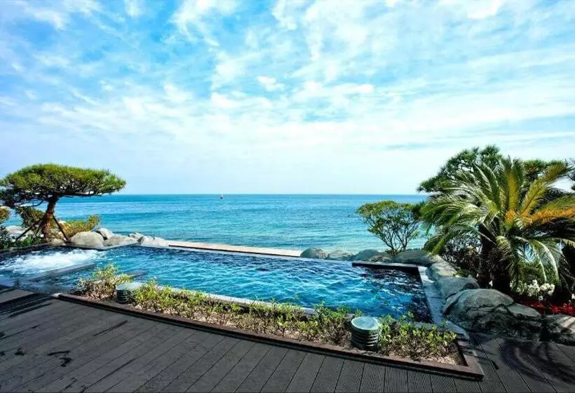 Fotos del hotel Paradise  Busan:  11