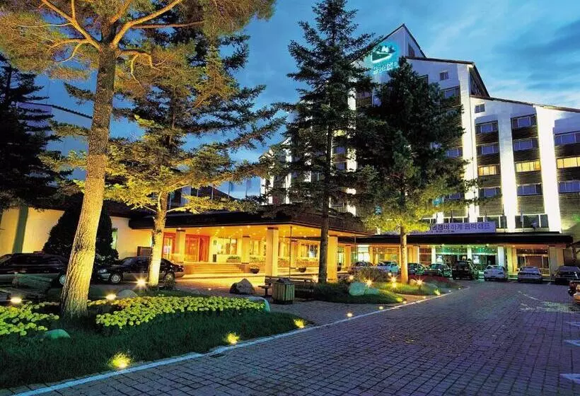 Fotos del hotel Yongpyong Resort:  1