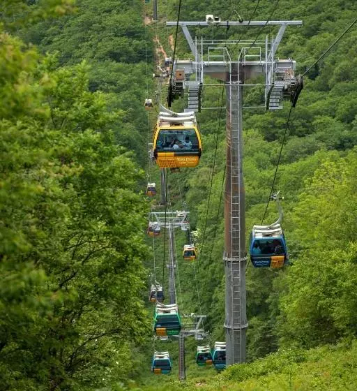 Fotos del hotel Yongpyong Resort:  22