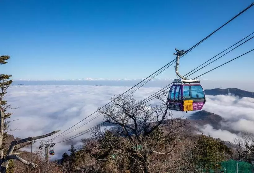 Fotos del hotel Yongpyong Resort:  12