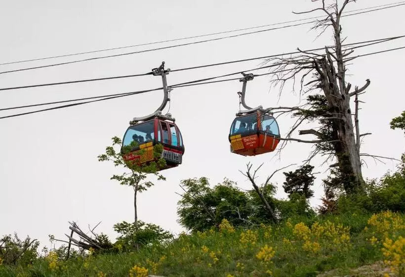 Fotos del hotel Yongpyong Resort:  25