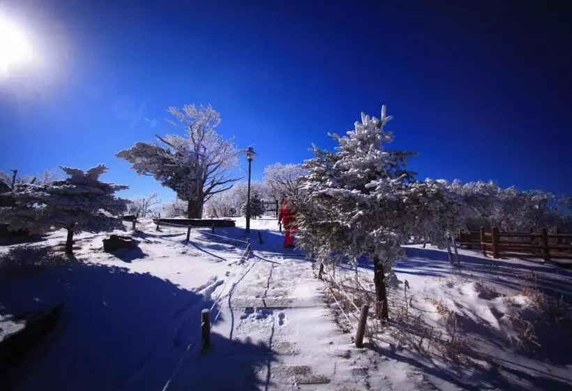 Fotos del hotel Yongpyong Resort:  20