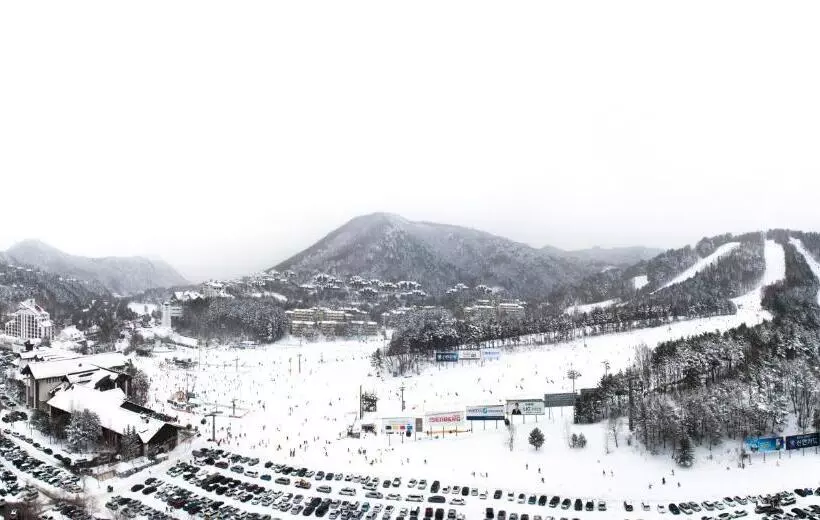 Fotos del hotel Yongpyong Resort:  14