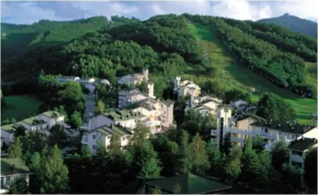 Fotos del hotel Yongpyong Resort:  18