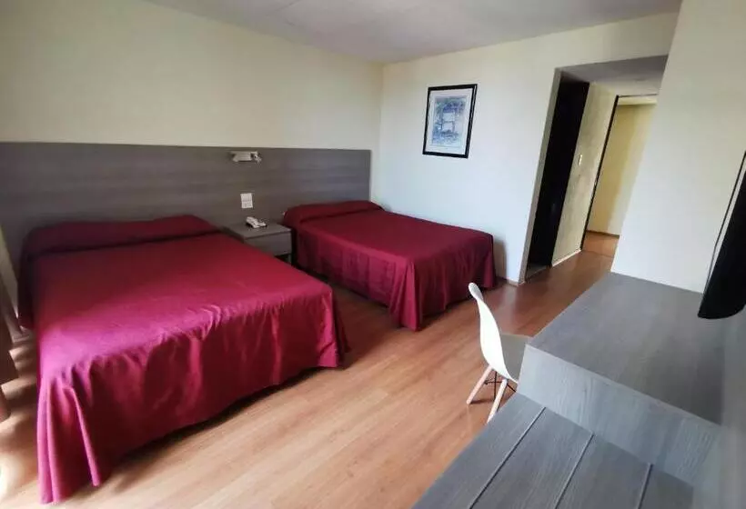 Fotos del hotel Del ángel Reforma:  8