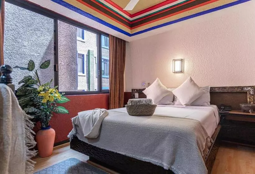 Fotos del hotel Posada Viena:  9