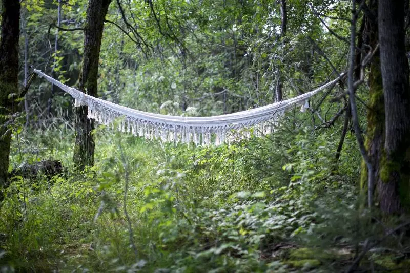 Fotos del hotel Voksenasen L, Bw Signature Collection:  8