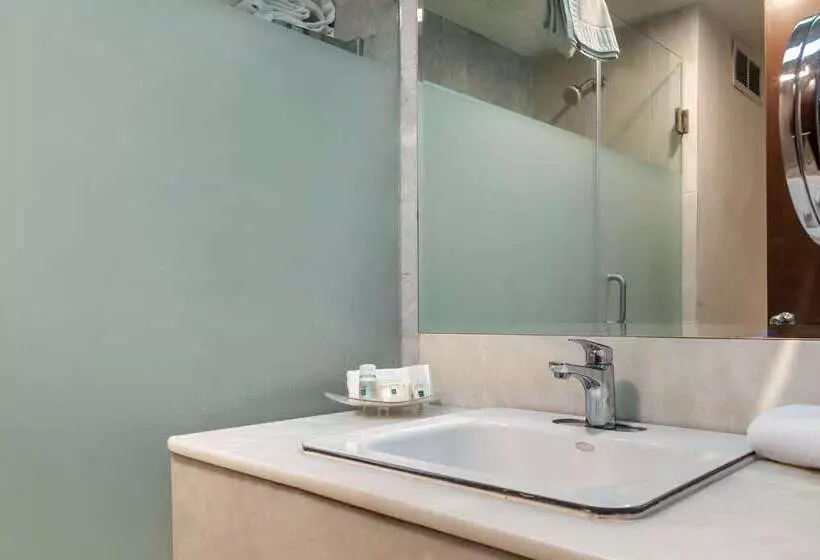 Fotos del hotel Quality Inn & Suites Saltillo Eurotel:  17