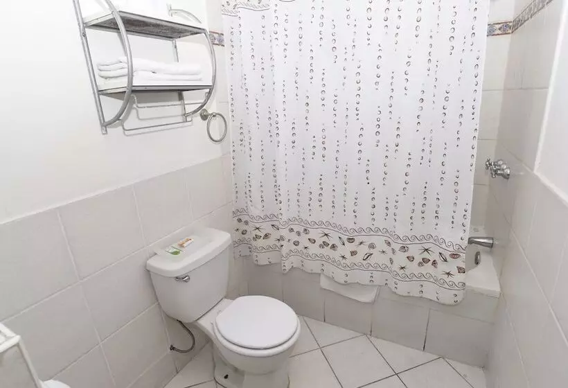 Fotos del hotel Casa San Martin:  7