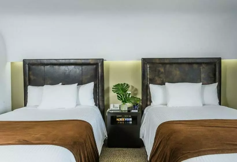 Fotos del hotel Riande Granada Urban:  2