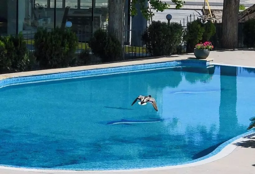 Fotos del hotel Hotel Modern:  11