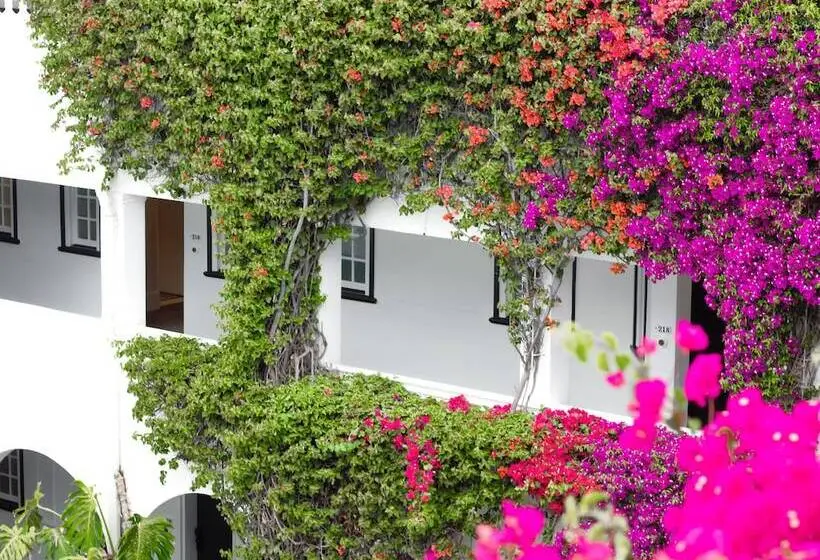 Fotos del hotel Winchester Mansions:  23