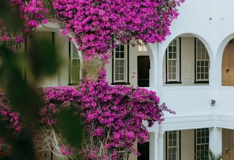 Fotos del hotel Winchester Mansions:  11