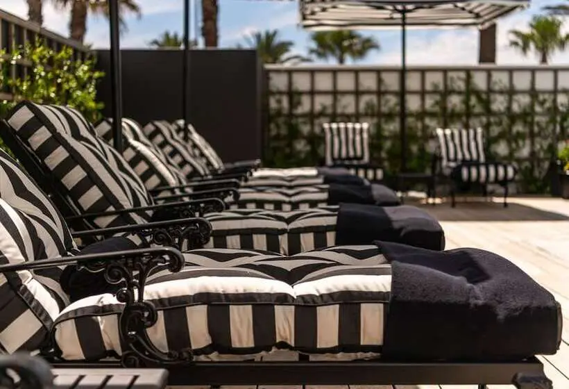 Fotos del hotel Winchester Mansions:  20