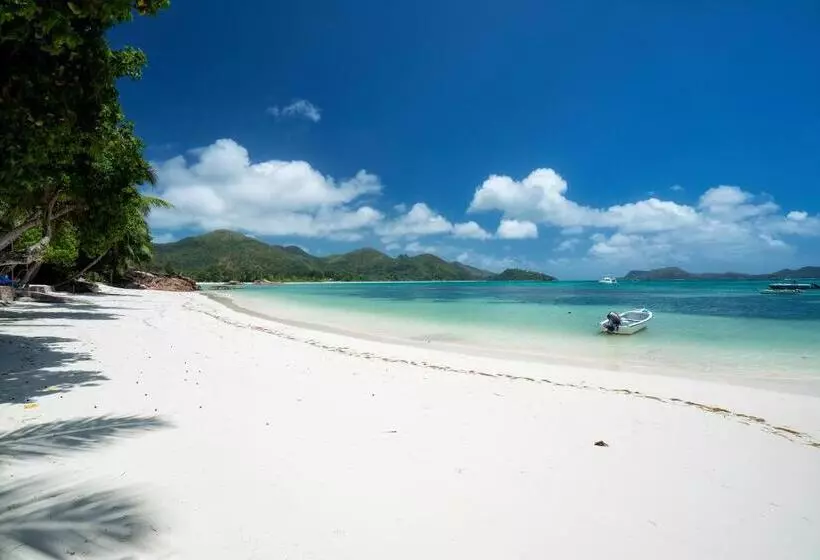 Fotos del hotel Hotel L'Archipel:  6